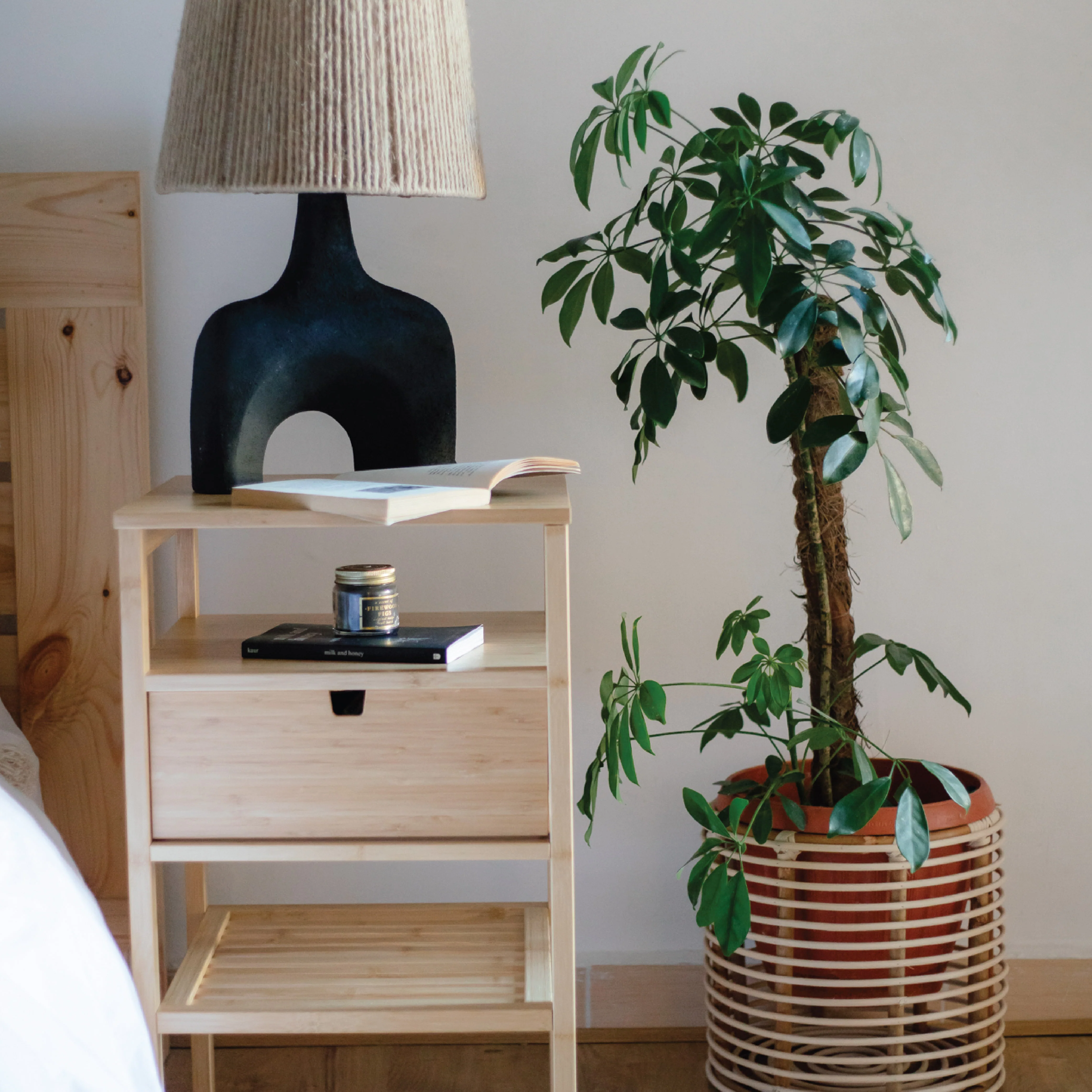Mojo bamboo Plant Pot - Image 3