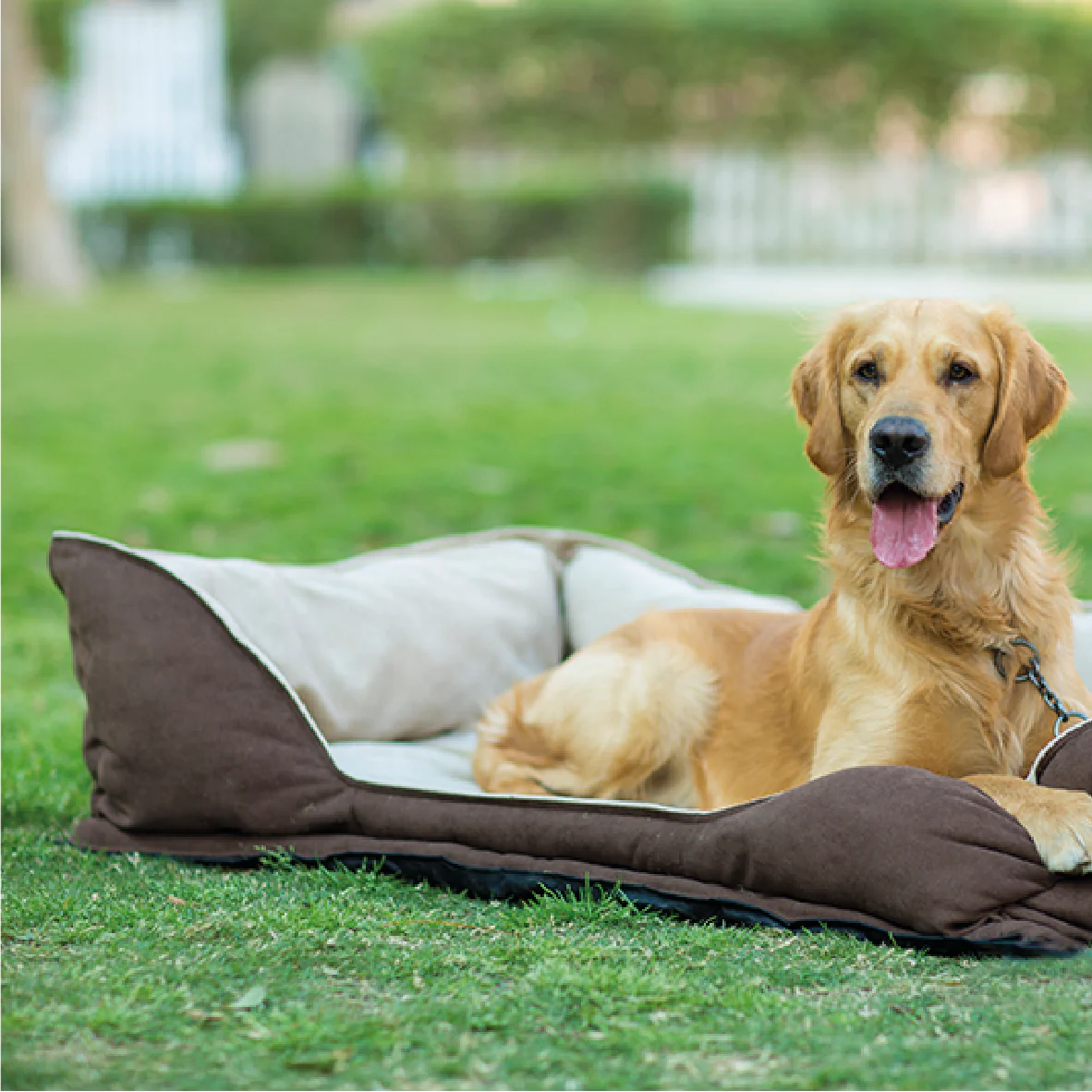 Mike Pet Bed - Image 28