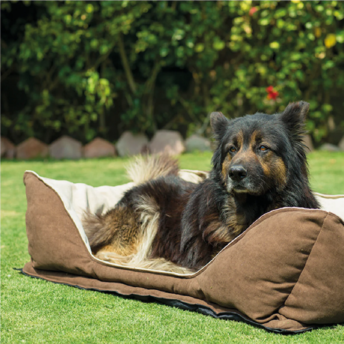 Mike Pet Bed - Image 29